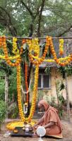 Shirali  Day 10 -  Shami Puja